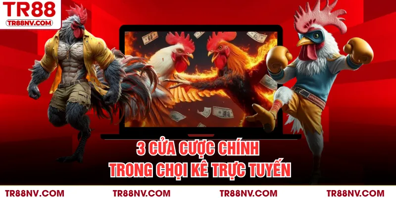 3 cửa cược chính trong chọi kê trực tuyến