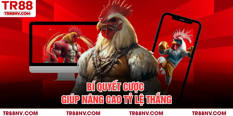 Bí quyết cược giúp nâng cao tỷ lệ thắng