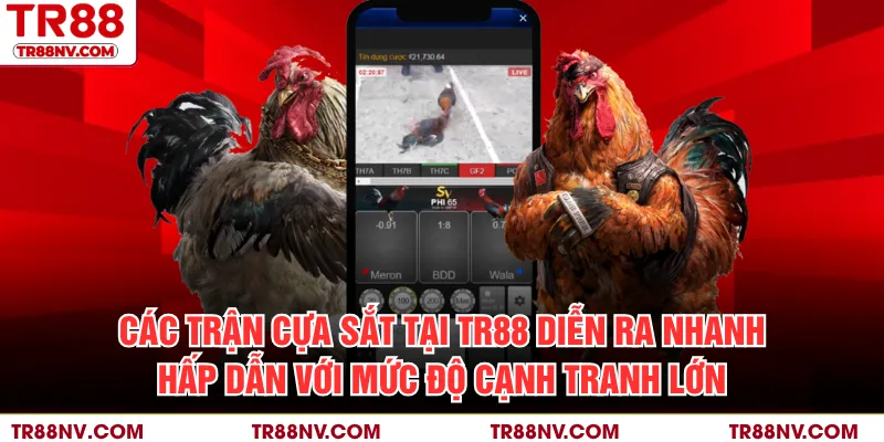Các trận cựa sắt tại TR88 diễn ra nhanh, hấp dẫn với mức độ cạnh tranh lớn