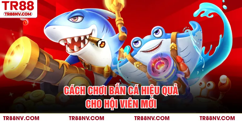 Cách chơi bắn cá hiệu quả cho hội viên mới