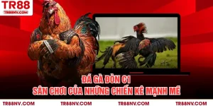Đá Gà Đòn C1