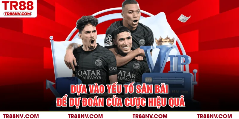 Dựa vào yếu tố sân bãi để dự đoán cửa cược hiệu quả