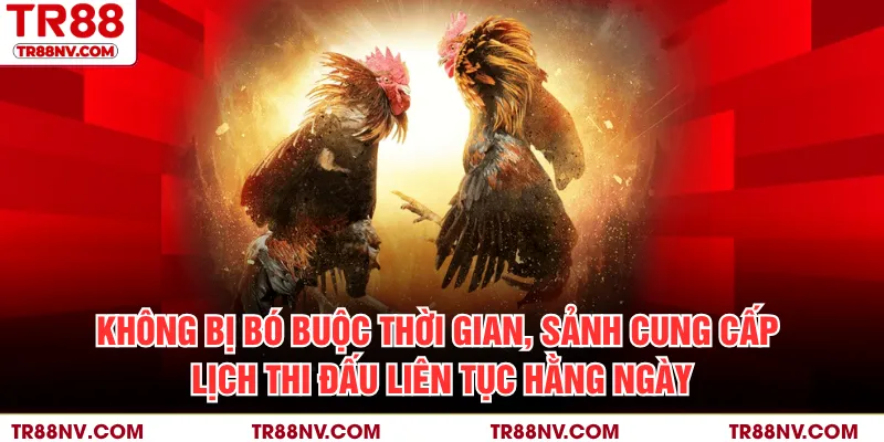 Không bị bó buộc thời gian, sảnh cung cấp lịch thi đấu liên tục hằng ngày