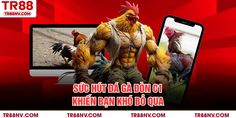 Sức hút đá gà đòn C1 khiến bạn khó bỏ qua