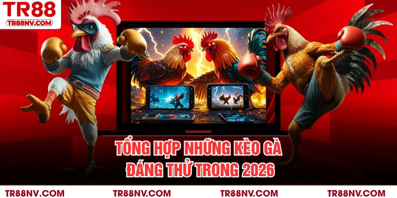 Tổng hợp những kèo gà đáng thử trong 2026